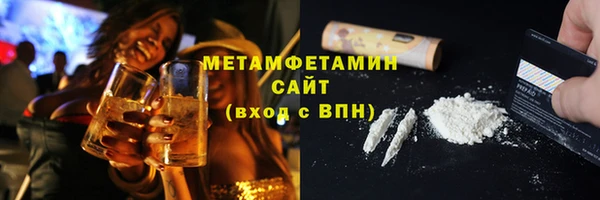 прущие грибы Осташков