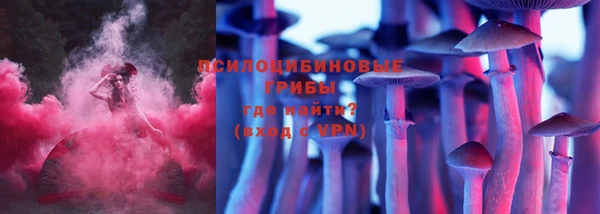 2c-b Аркадак