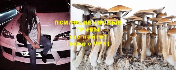 PSILOCYBIN Арсеньев