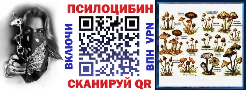 omg ссылки  Пучеж  Галлюциногенные грибы Psilocybe 